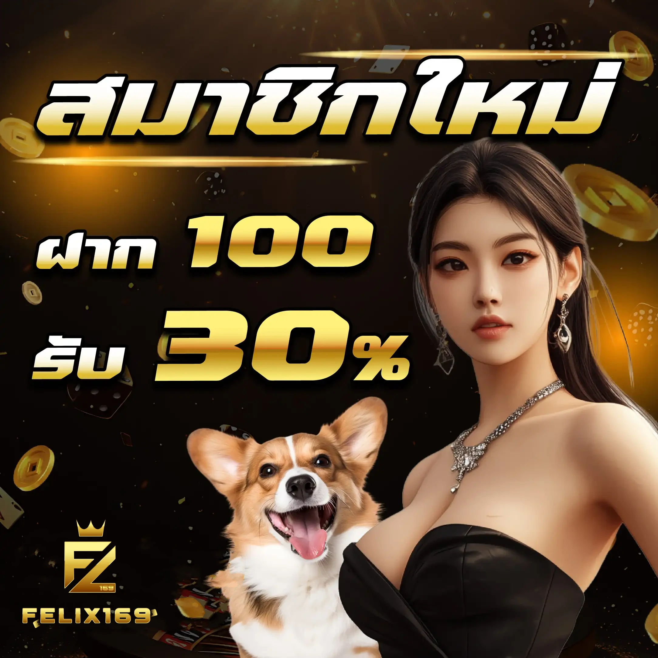 felix 169 เข้าสู่ระบบ